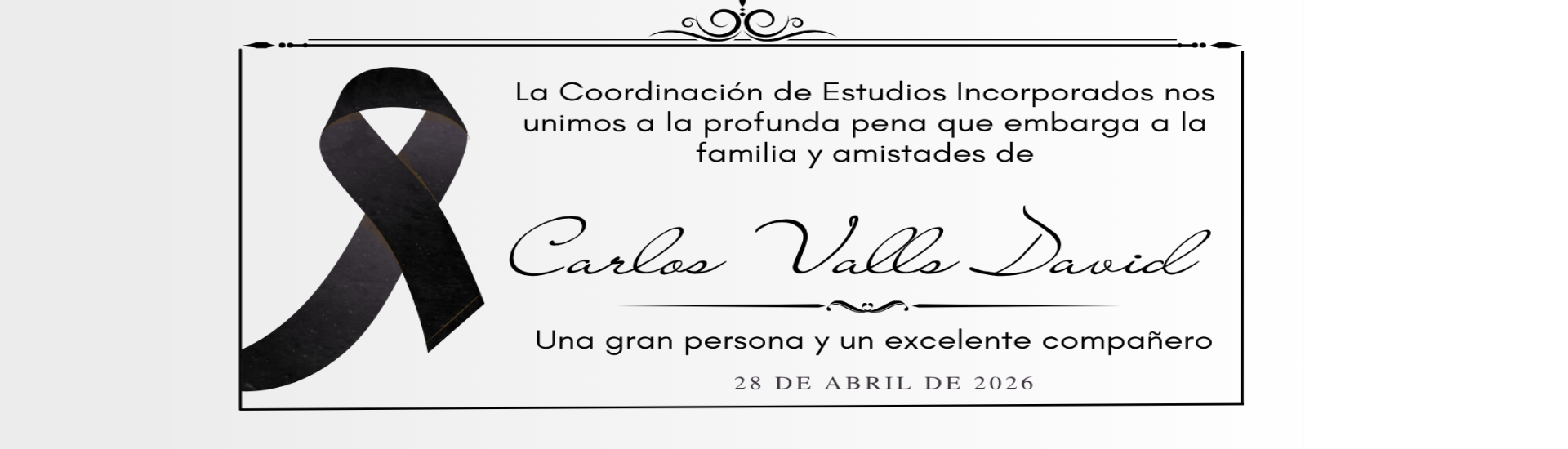 paginacei_carlosvalls