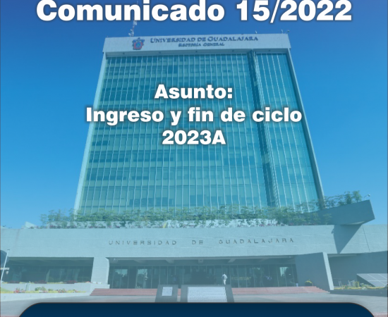 comunicado 15