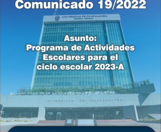 Comunicado 19